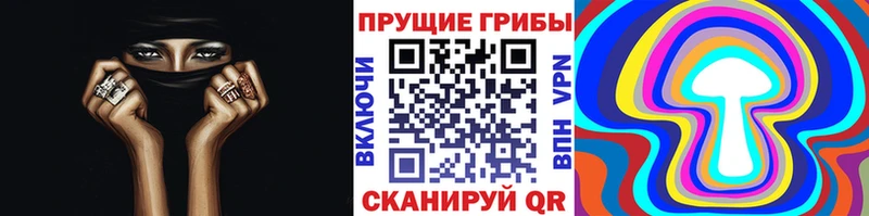 что такое   Куртамыш  Псилоцибиновые грибы ЛСД 